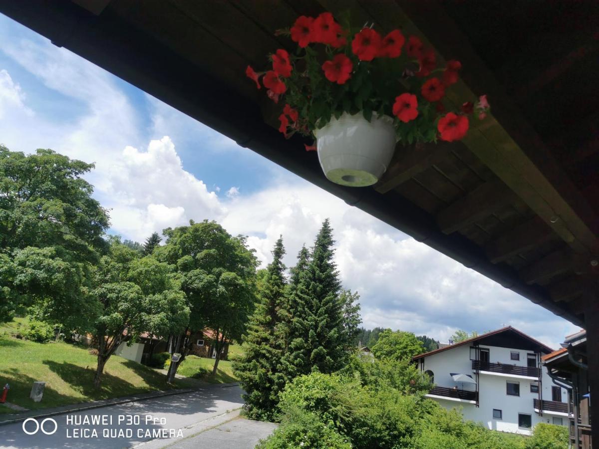 Aparthotel Chrysantihof - Bayerische Wald-Weber Цвизель Экстерьер фото